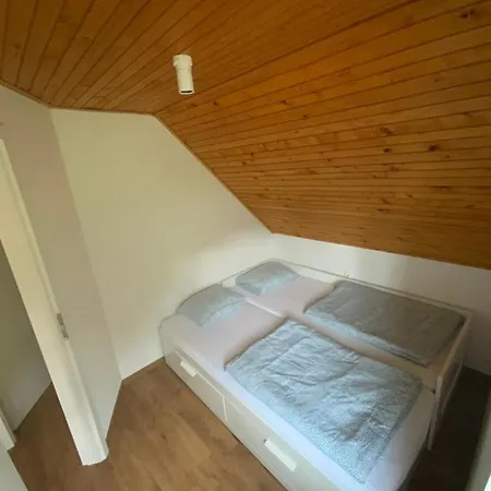 Apartma Kolpa-riverhouse Podzemelj 公寓 Borst (Metlika)