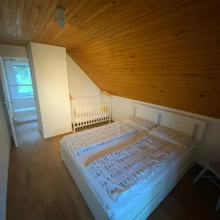 Apartma Kolpa-riverhouse Podzemelj